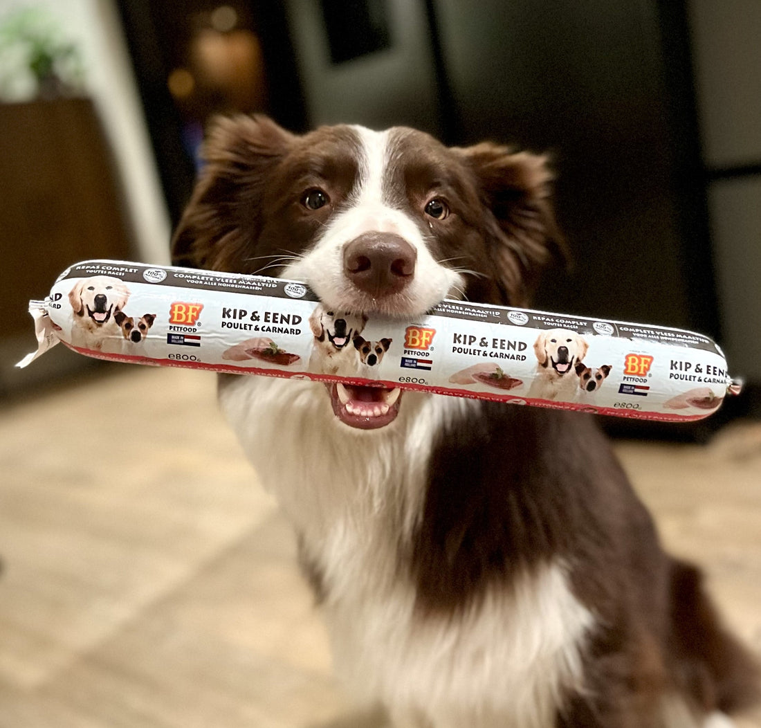 Gestoomde houdbare vleesmaaltijden voor de hond