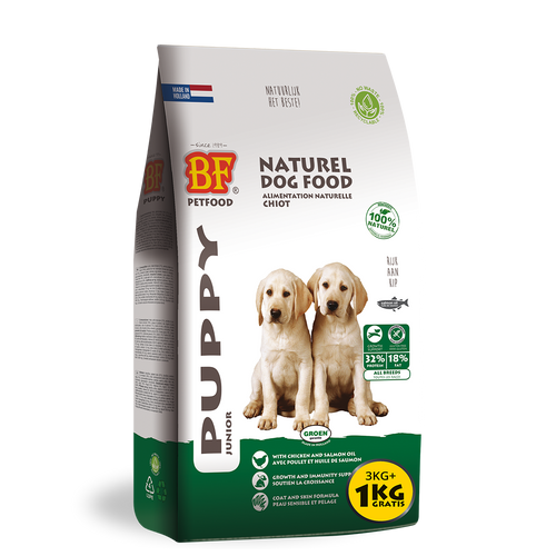 Kroketten Welpe