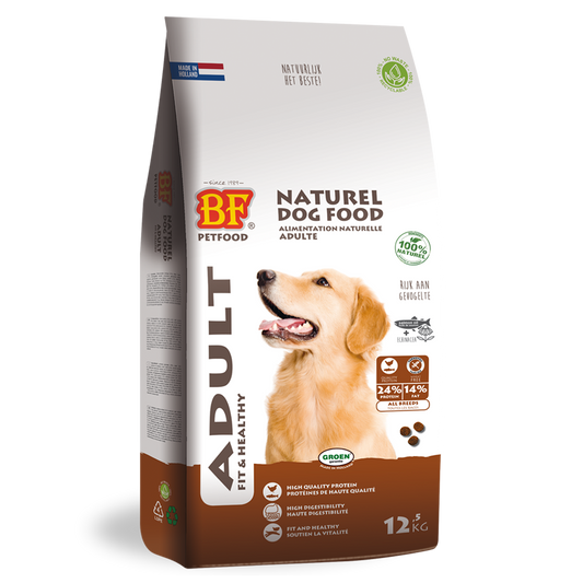 Kroketten Adult