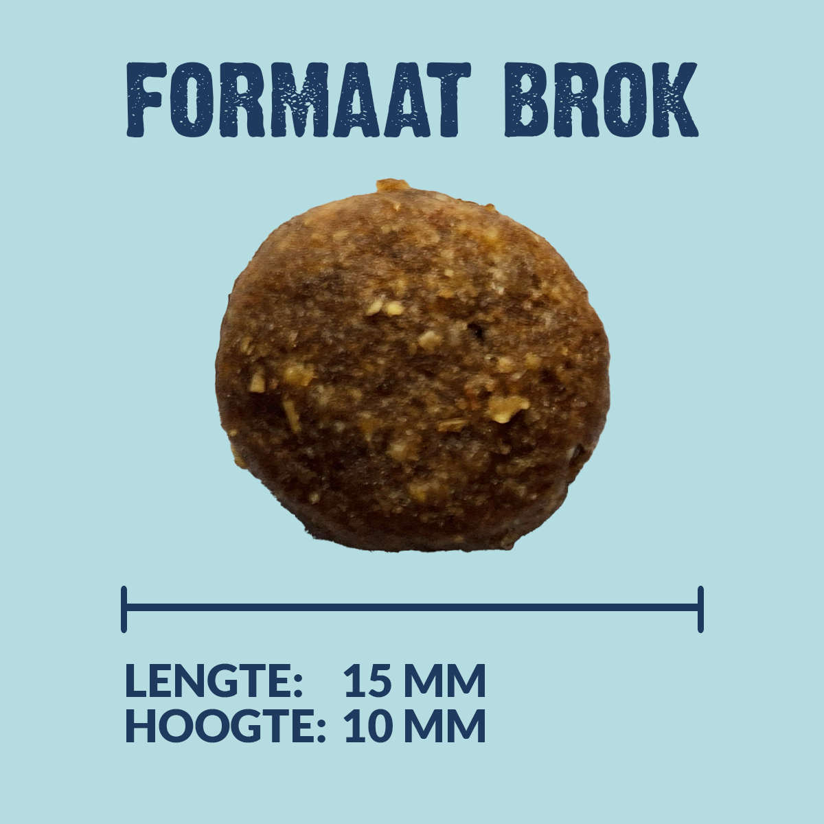 Kroketten Aktive