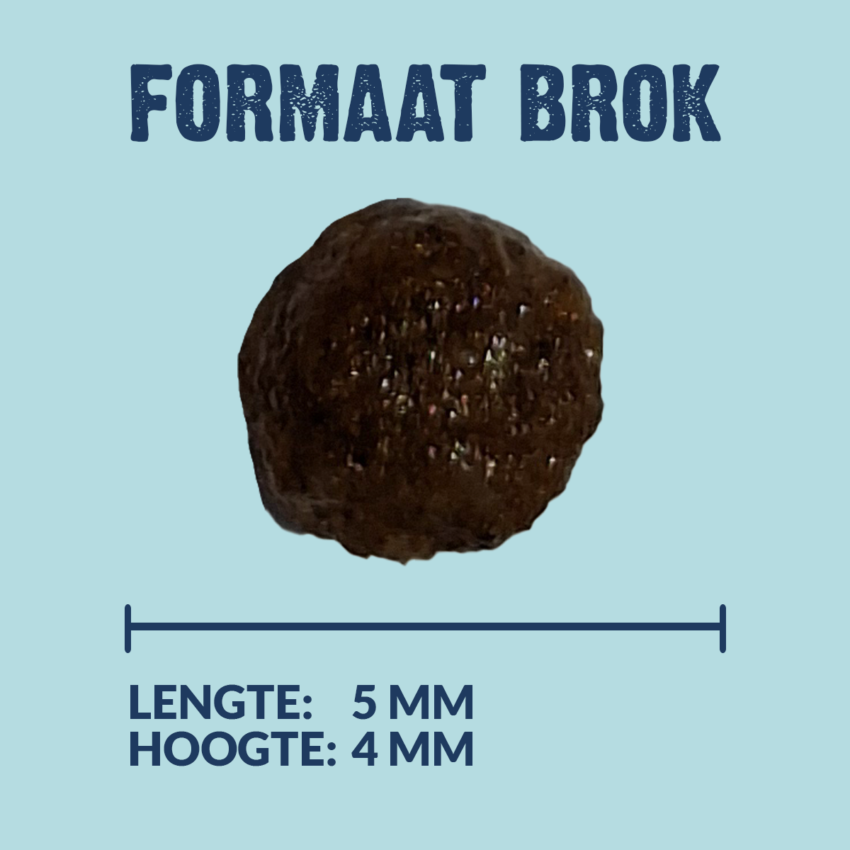 Kroketten Welpe - Mini