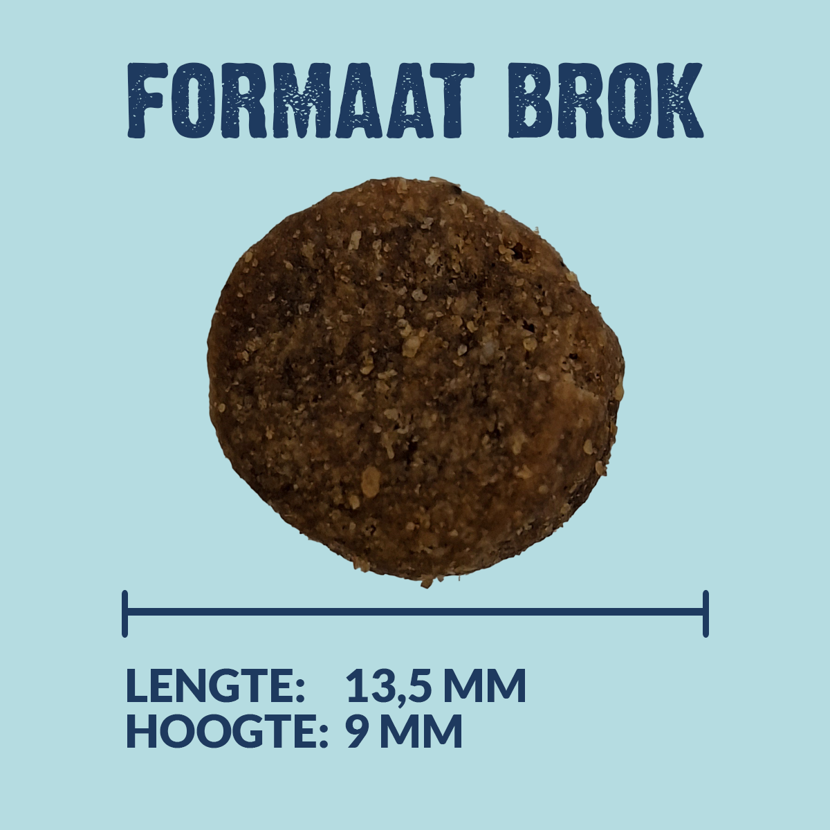 Kroketten Adult