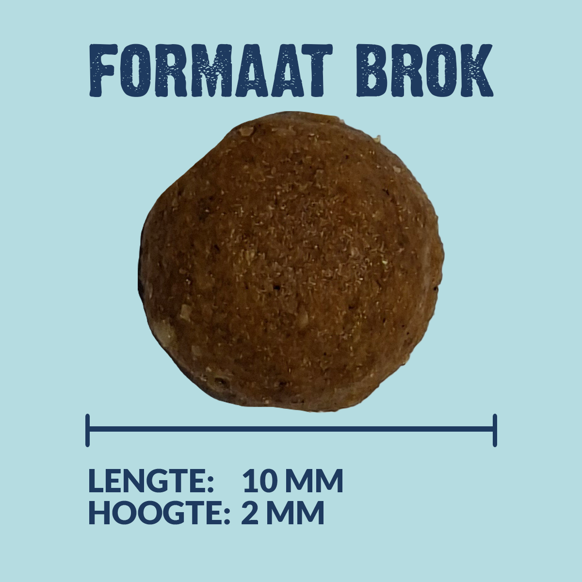 Kroketten Welpe