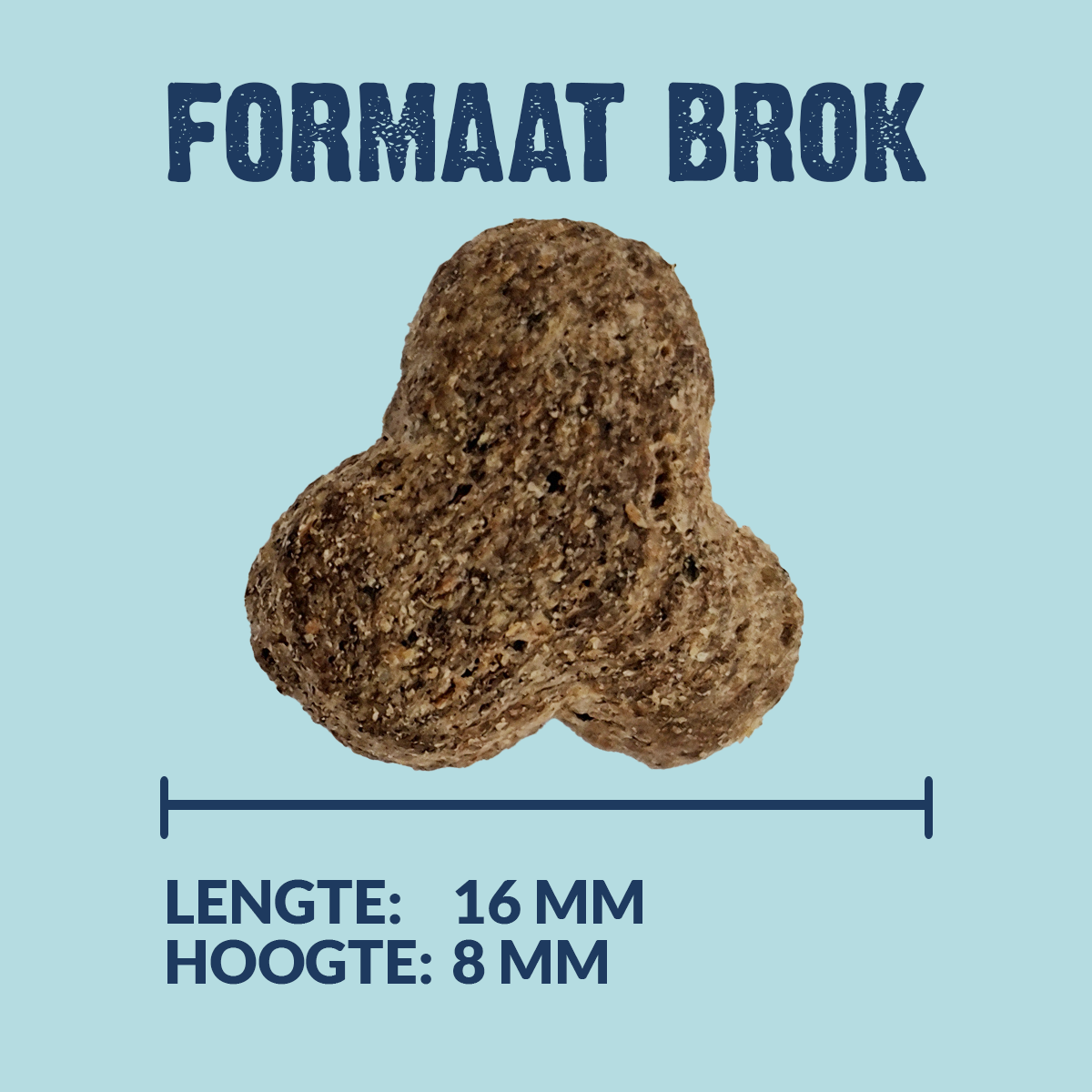 Kroketten Senior