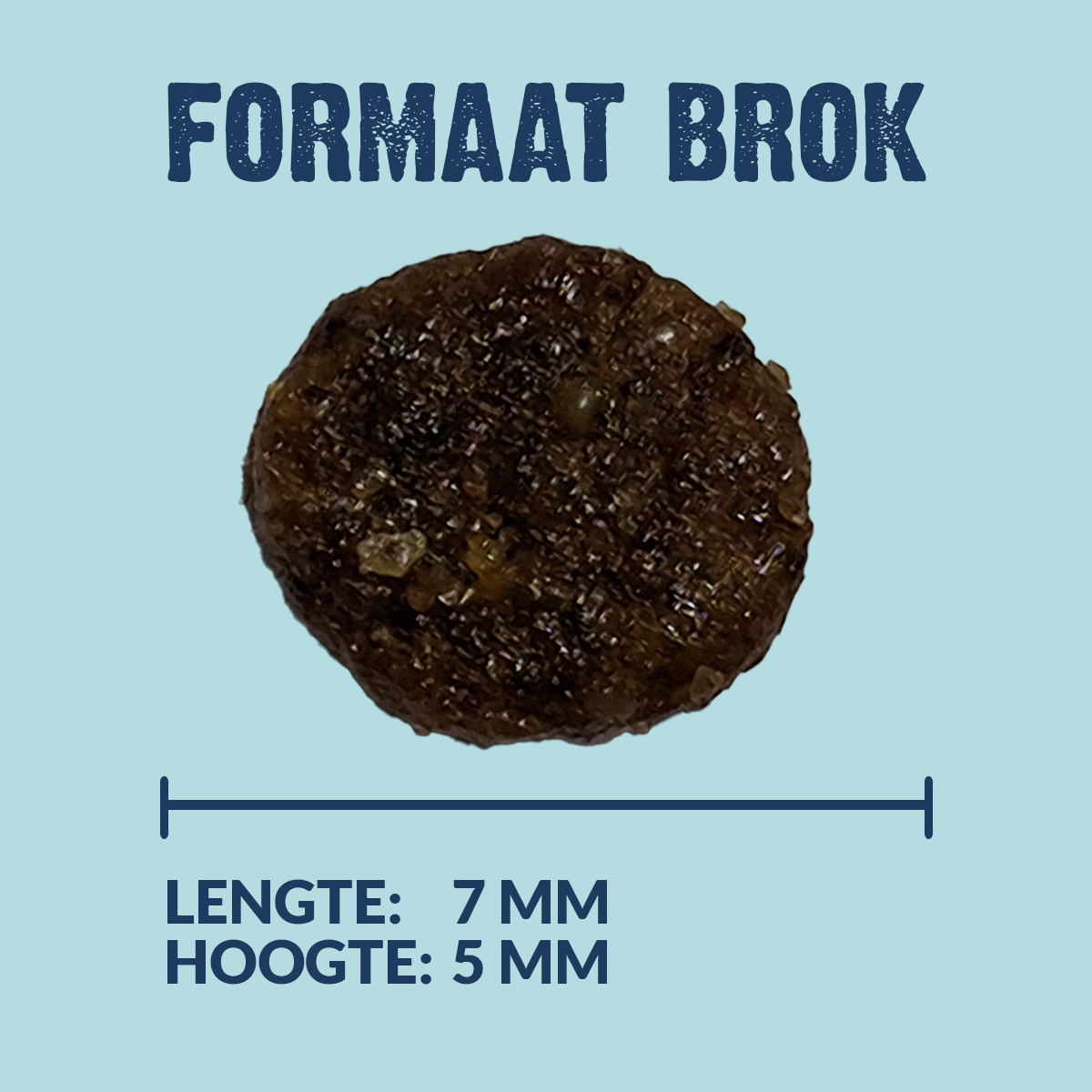 Kroketten Adult - Mini