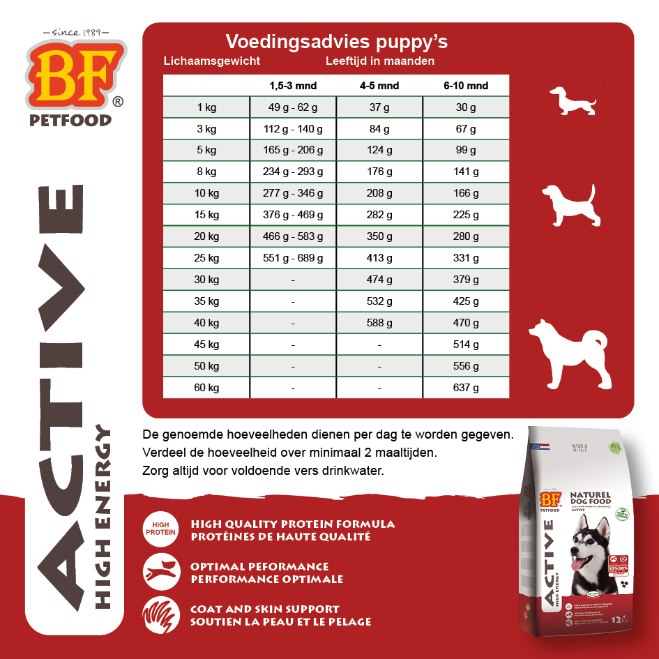Kroketten Aktive