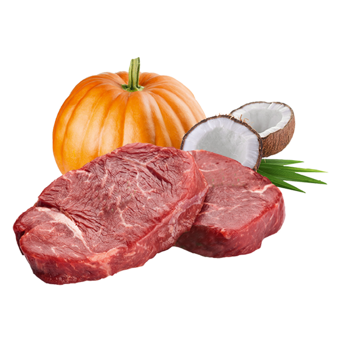 BIOFOOD Bio-Rindfleisch – Menü