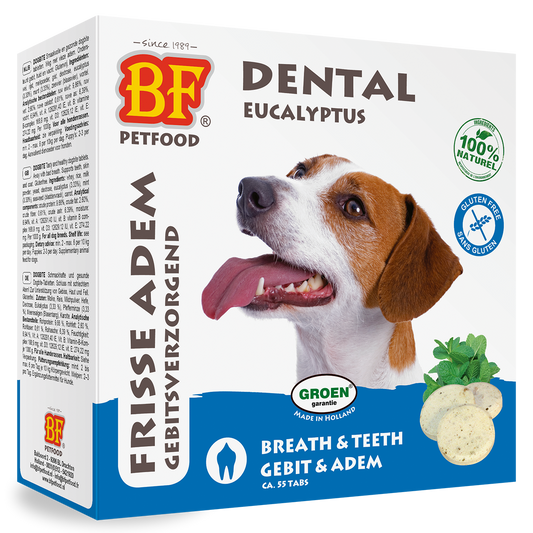 Dental Tabletten
