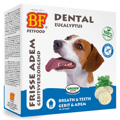 Dental Tabletten